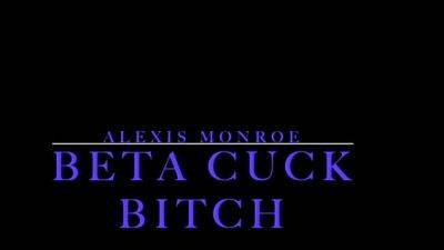 Alexis Monroe - Alexis Monroe - Beta Cuck Bitch - drtuber.com